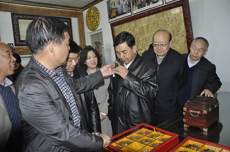 市文化局局長(zhǎng)楊金貴陪同省文化廳視察